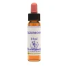 Agrimony Ess 7,4ml