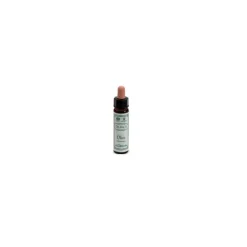 Ainsworths Olive Fiore di Bach Stanchezza 10 ml