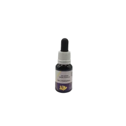 Ainsworths Star Of Bethlehem Fiori di Bach 10ml
