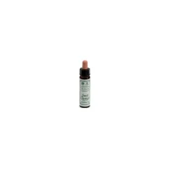 Ainsworths Sweet Chestnut Fiori di Bach 10 ml