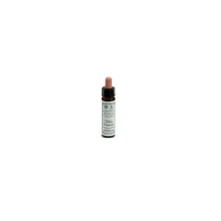 Ainsworths White Chestnut Fiori di Bach Serenità Mentale 10 ml