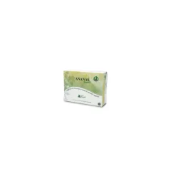 Alchimia Benoit Ananas Integratore per Gambe e Circolazione 60 Compresse