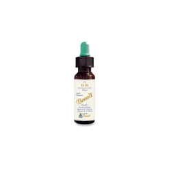 Alchimia Benoit Fiori di Bach Elm (Olmo) Rimedio Floreale 10 ml