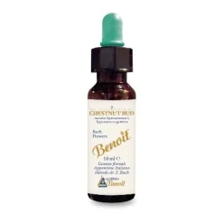 Alchimia Benoit Fiori di Bach Chestnut Bud Gocce 10ml