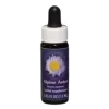 Alpine Aster Ess 7,4ml