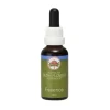 Angel Sword Essenza 15ml