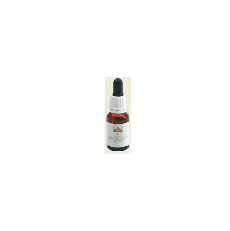 Australian Bush Flower Alpine Mint per Esaurimento Mentale 15ml