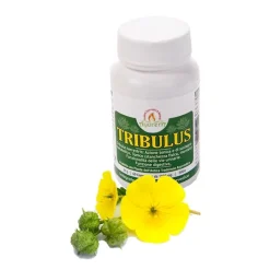Ayurera Tribulus 60 Compresse