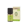 Basilico olio essenziale bio per benessere mentale e aromaterapia 5ml