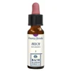 Beech Essenza 10ml