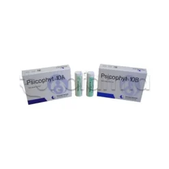 Biogroup Psicophyt Remedy 10B Rimedio Ricostituente 4 Tubi di Globuli