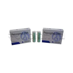 Biogroup Psicophyt Remedy 29B Rimedio Tonico per Stress 4 Tubi di Globuli