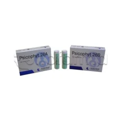 Biogroup Psicophyt Remedy 26B Rimedio Tonico per Stress 4 Tubi di Globuli