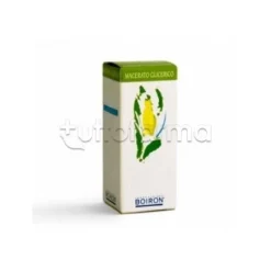 Boiron Ampelopsis Weitchii Macerato Glicerico Vite Canadese 60ml