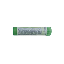 Boiron Bryonia 5CH Granuli Omeopatici Tubo da 4gr