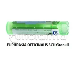 Boiron Euphrasia Officinalis 5CH Granuli Omeopatici Tubo da 4gr