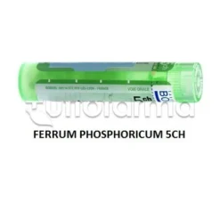 Boiron Ferrum Phosphoricum 5CH Granuli Omeopatici Tubo da 4gr
