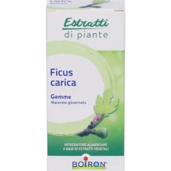 Boiron Ficus Carica Gemme Macerato Glicerico 60ml