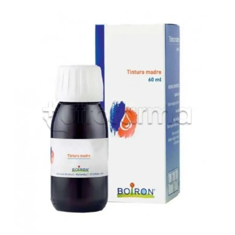 Boiron Ginkgo Biloba Tintura Madre per Circolazione e Memoria 60ml