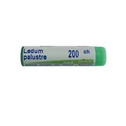 Boiron Ledum Palustre 200CH Monodose Globuli Omeopatici