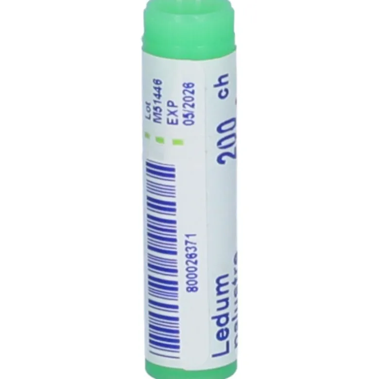 Boiron Ledum Palustre 200CH Monodose Globuli Omeopatici