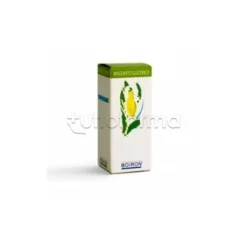 Boiron Olea Europaea Macerato Glicerico 60ml