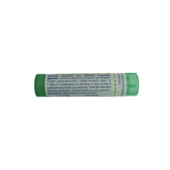 Boiron Rhus Toxicodendron 5CH Granuli Omeopatici Tubo da 4gr