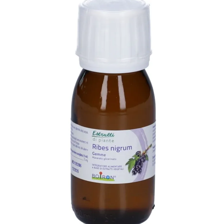 Boiron Ribes Nigrum Gemme Macerato Glicerico 60ml