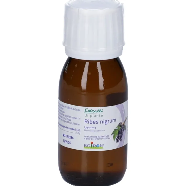 Boiron Ribes Nigrum Gemme Macerato Glicerico 60ml