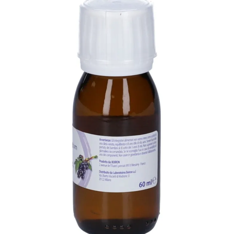 Boiron Ribes Nigrum Gemme Macerato Glicerico 60ml