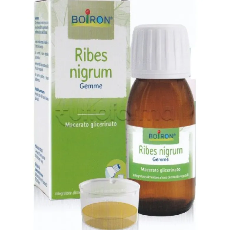 Boiron Ribes Nigrum Gemme Macerato Glicerico 60ml
