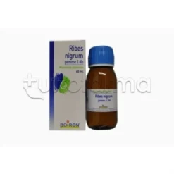 Boiron Ribes Nigrum Macerato Glicerico 60ml
