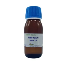 Boiron Ribes Nigrum Macerato Glicerico Set Risparmio 2 Flaconi da 60 ml