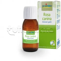 Boiron Rosa Canina Macerato Glicerico 60ml