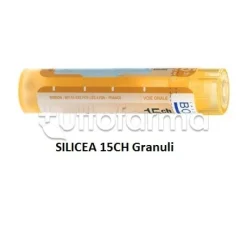 Boiron Silicea 15CH Granuli Omeopatici Tubo da 4gr