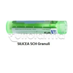 Boiron Silicea 5CH Granuli Omeopatici Tubo da 4gr
