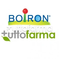 Boiron Sulfur 6CH Granuli Omeopatici Tubo