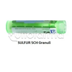 Boiron Sulfur 5CH Granuli Omeopatici Tubo da 4gr