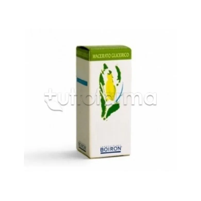 Boiron Vitis Vinifera Macerato Glicerico 60ml