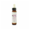 Cemon Chicory Fiore di Bach per Supporto Emotivo 10ml