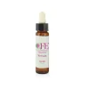 Cemon Vervain Fiore di Bach per Serenità 10ml