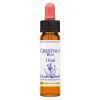 Chestnut Bud Essenza 30ml