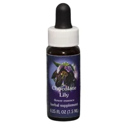Chocolate Lily Ess 7,4ml