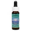 Cloudberry Ess 7,4ml