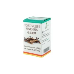 Cordyceps 100 Capsule per Energia, Vitalità e Difese Immunitarie 100 Capsule