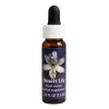 Desert Lily Ess 7,4ml