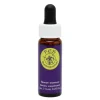 Down Avens Ess 7,4ml