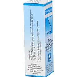 Dr. Reckeweg R96 Spray Omeopatico per Naso Chiuso Nasale 15ml