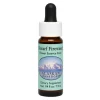 Dwarf Fireweed Ess 7,4ml
