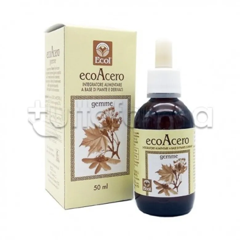 Ecol Eco Acero Macerato Glicerico 50ml